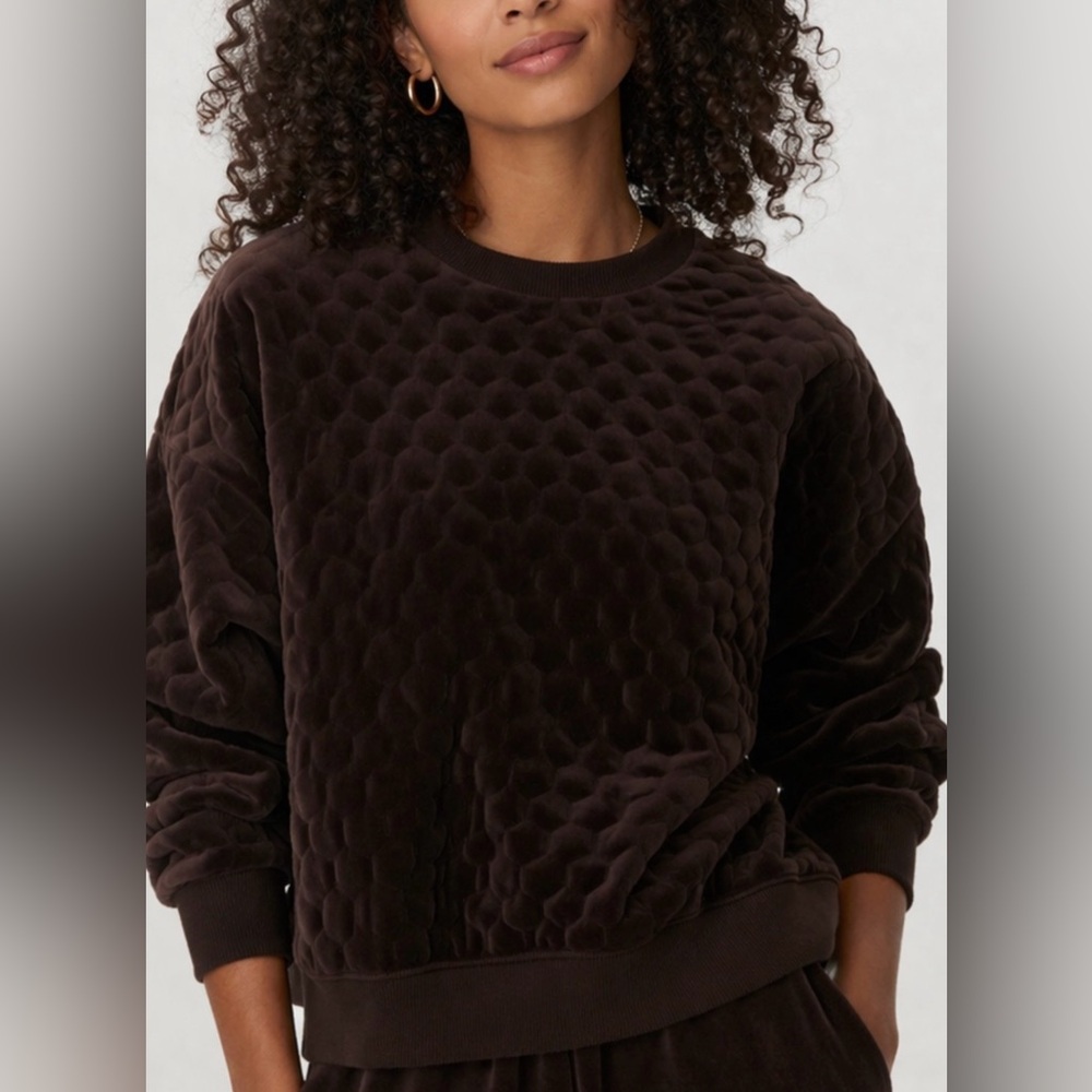 Tuckernuck Velor Bennet Choclate color pullover long sleeve Sz M